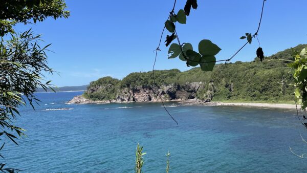 能登半島地震への思い