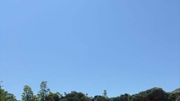 8月突入です！！