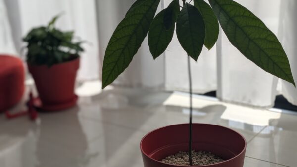 少しずつ。少しずつ。