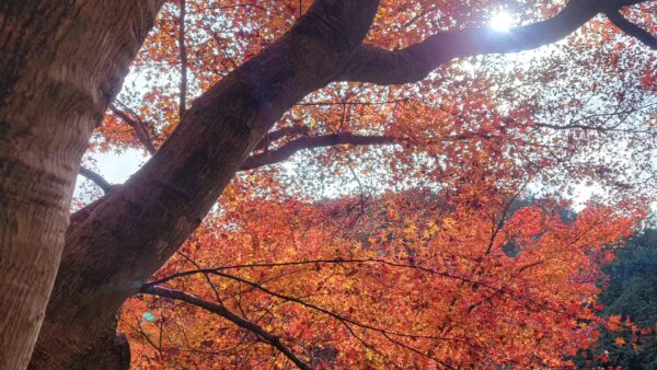 寒い時期こそ運動を習慣に💪