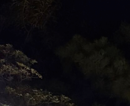 呼吸を整える・・・