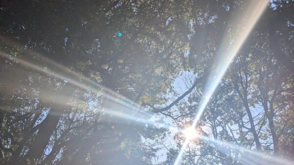 今年もよろしくお願い致します