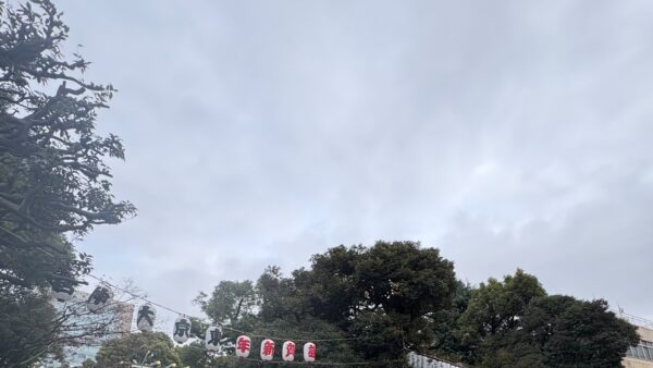 東京大神宮へお参りに行ってきました⛩️