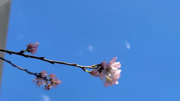 寒い季節ほど運動しよう🧘‍♀️