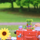 3月は卒業シーズン。変化の季節こそ、自分を整える時間を🌸