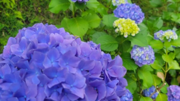 ヨガで心にも優しく過ごしましょう🧘‍♀️