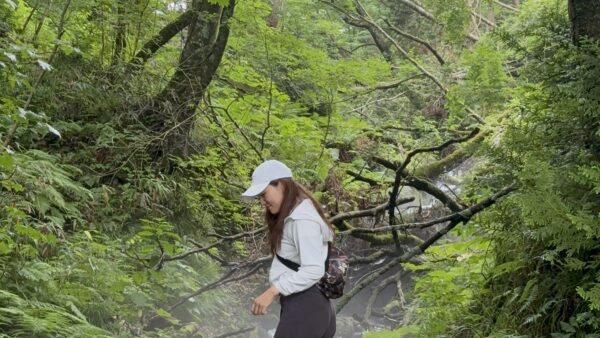 白神山地でエネルギーチャージ